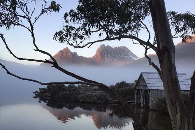Cradle Mountain Day Tour From Launceston Including Lunch - Traveler Feedback
