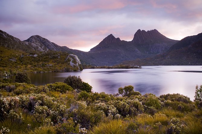 Cradle Mountain Day Tour Private Charter Service - Explore Cradle Mountain National Park