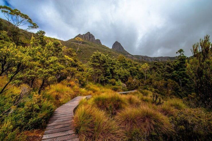 Cradle Mountain: Day Trip From Launceston With Lunch - Activity Details