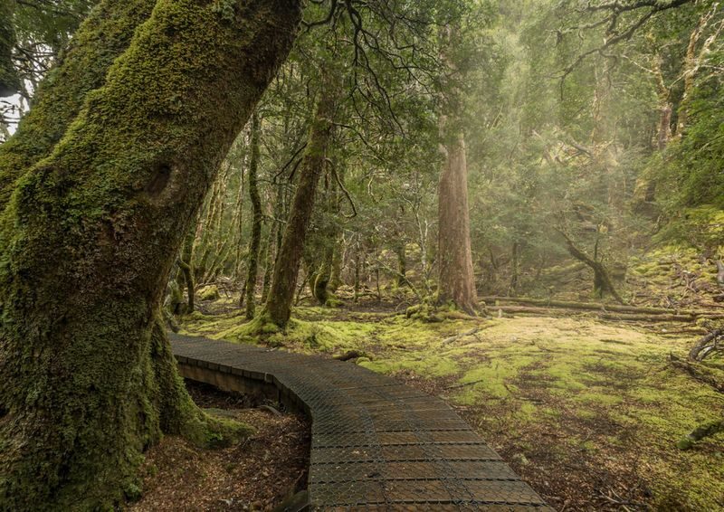 Cradle Mountain Explorer: Hobart to Launceston - Hobart to Cradle Mountain in one long day