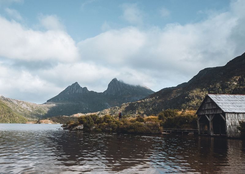 Cradle Mountain Explorer: Hobart to Launceston - King Billy Pines and the Enchanted Forest