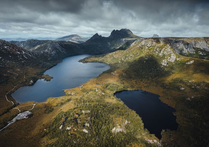 Cradle Mountain Explorer: Hobart to Launceston - Wildlife spotting: a bonus, not a promise