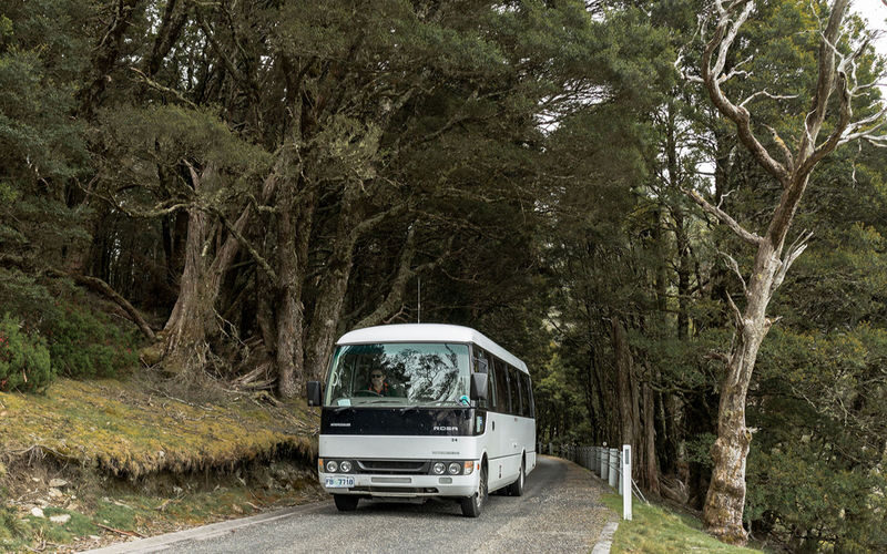 Cradle Mountain Fully Guided Day Tour Departing Launceston - What the price includes, and what it is worth