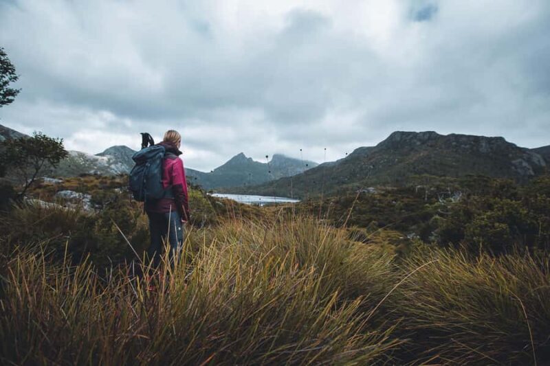 Cradle Mountain: Fully Guided Dove Lake Day Tour with Lunch - The Itinerary in Detail: What Makes This Tour Special  