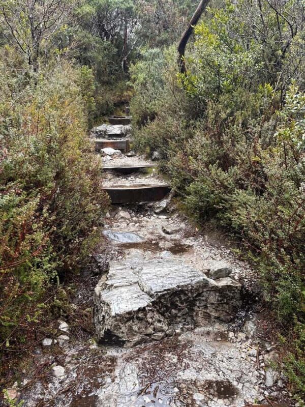 Cradle Mountain: Fully Guided Dove Lake Day Tour with Lunch - Additional Practical Details  