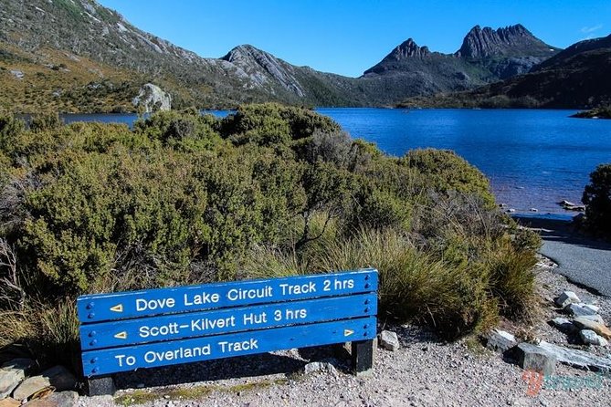 Cradle Mountain Guided Walk With Gourmet Hamper - Additional Information