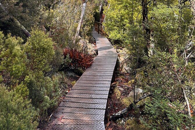 Cradle Mountain Half Day Dove Lake Guided Tour with Lunch - The Sum Up