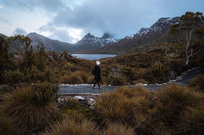 Cradle Mountain Half Day Park Explorer Tour with Lunch - The Value of a Short, Focused Tour