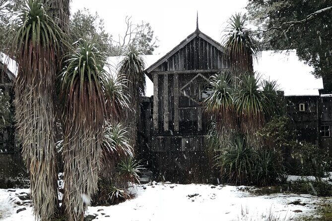 Cradle Mountain Half Day Park Explorer Tour with Lunch - Who Should Consider This Tour?