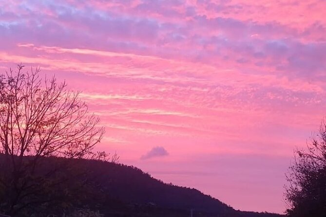 Cradle Mountain  Hobart to Cradle Active Day Trip - Common Questions