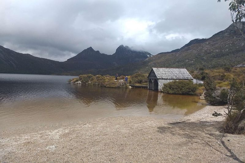 Cradle Mountain National Park Day Tour from Launceston - Guides, transport and the value of the fare