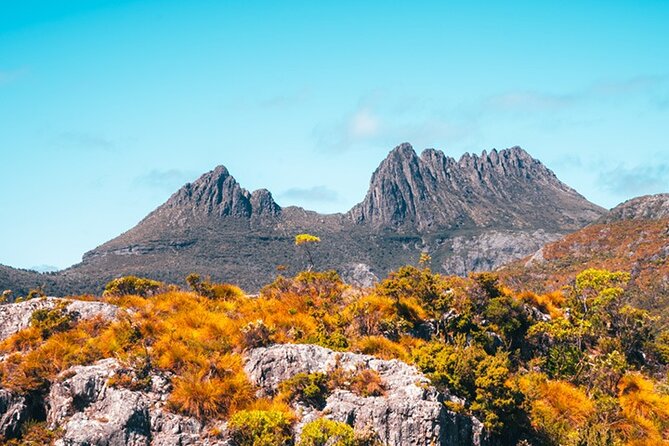 Cradle Mountain National Park Day Tour From Launceston - Overview and Itinerary