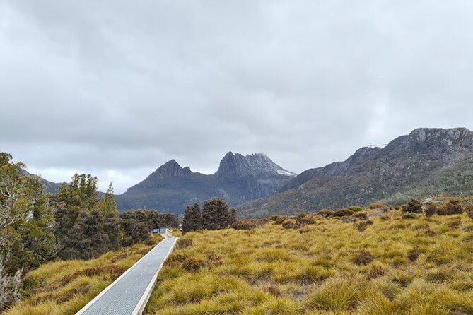 Cradle Mountain National Park Day Tour From Launceston - Pickup Details