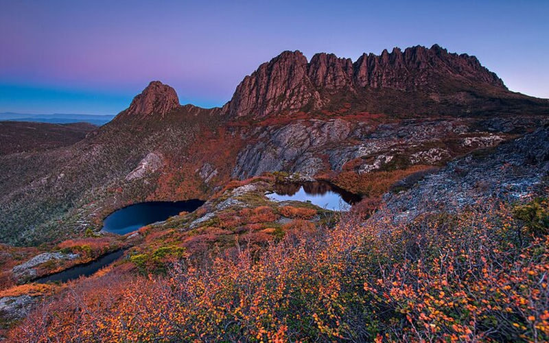 Cradle Mountain National Park Day Tour with Scenic Stops - The key risk is late cancellation