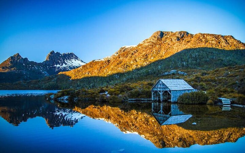 Cradle Mountain National Park Day Tour with Scenic Stops - Who should consider this tour