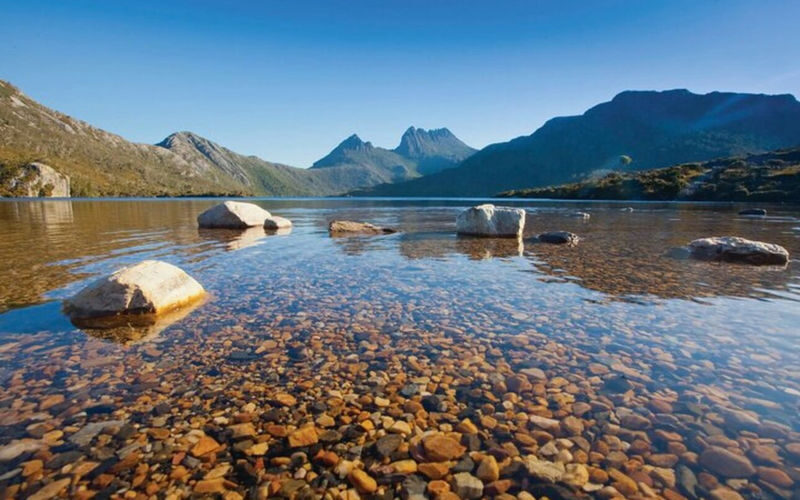 Cradle Mountain National Park Day Tour with Scenic Stops - Should you book it?