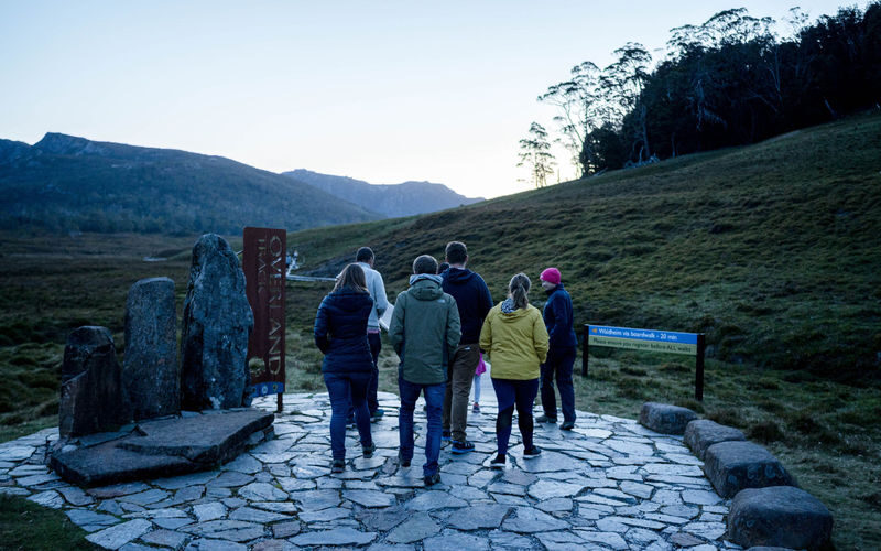 Cradle Mountain Night Spotting Tour - A night outing built around the search