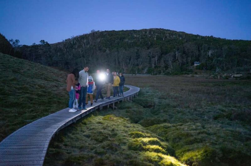 Cradle Mountain Wildlife Spotting after Dark - The Sum Up