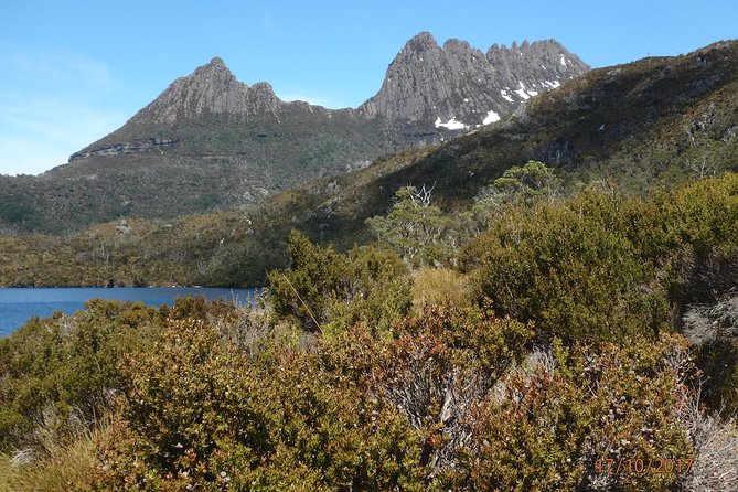 Cradle Mountain Wildlife Spotting After Dark - Best Spots for Wildlife Spotting