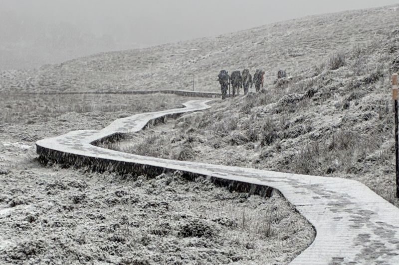 Cradle Mountain World Heritage Adventure Tour from Launceston - Lunch is simple, so plan before the park