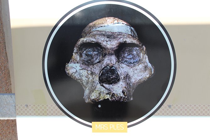 Cradle of Human Kind Tour - Maropeng and Wondercave Tour - Hotel Pick-Up in Johannesburg