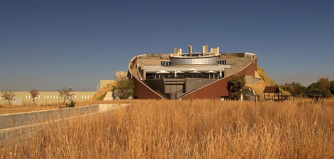 Cradle of Humankind and Maropeng Day Tour From Johannesburg - Hominid Fossils and Discoveries