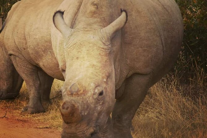 Cradle of Humankind, Caves or Maropeng, Rhino and Lion Park - History and Archaeology at Maropeng