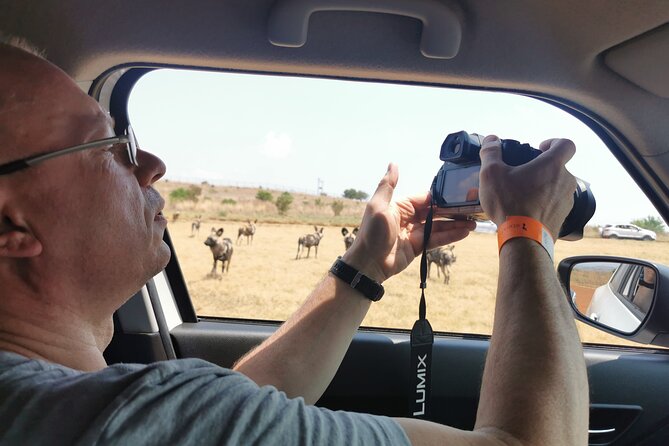 Cradle of Humankind, Caves or Maropeng, Rhino and Lion Park - Personalized Experiences With Knowledgeable Guides