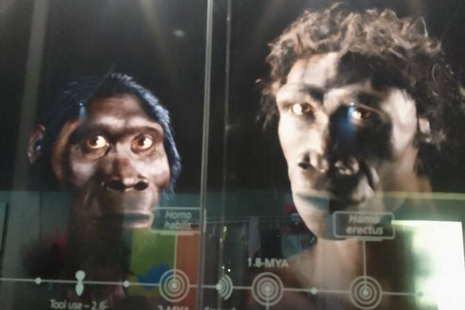 Cradle of Humankind Half Day Tour With Lunch - Inclusions and Exclusions