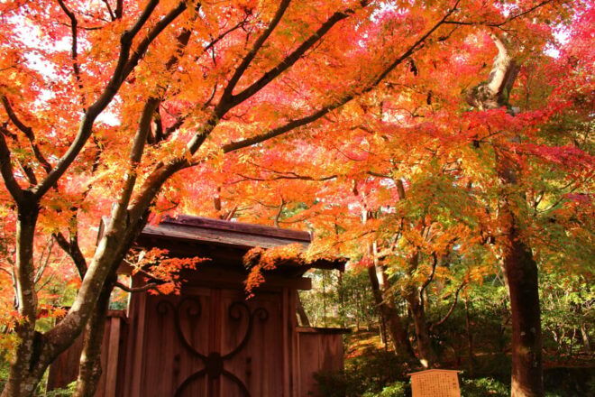 Craft Dining 2024 X Performing Arts in the MOA Museum - Location and Accessibility