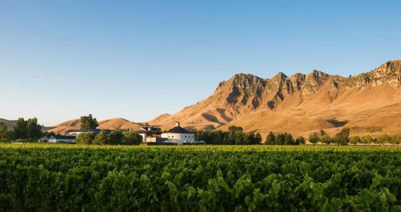 Craggy Range Deluxe, x2 winery tastings + Te Mata Peak - An Authentic Taste of Hawke’s Bay: What the Tour Offers