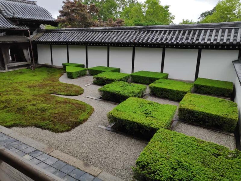 Craig's Kyoto Private Luxury Alphard Tour / The Early Riser - Who Will Love This Tour?