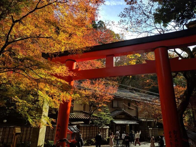 Craig's Kyoto Private Luxury Alphard Tour / The Early Riser - Final Thoughts