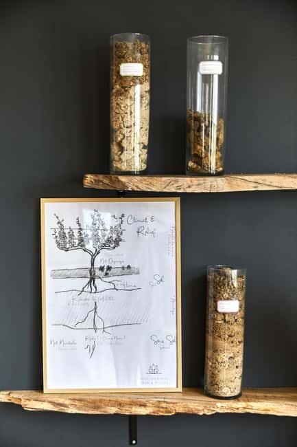 Cramant: OP2 Masterclass 5 Champagnes - Who Should Consider This Experience?