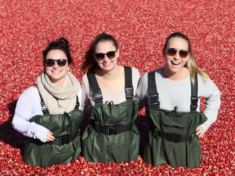 Cranberry Plunge and Hardy Lake Day Tour from Toronto - The highlights at a glance