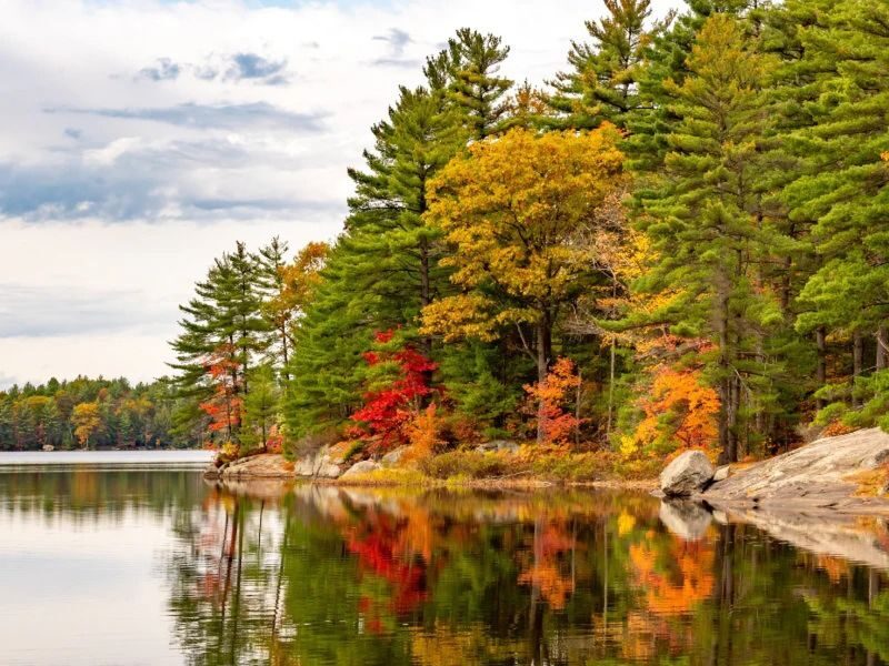 Cranberry Plunge and Hardy Lake Day Tour from Toronto - A cranberry bog is the day’s unusual centerpiece