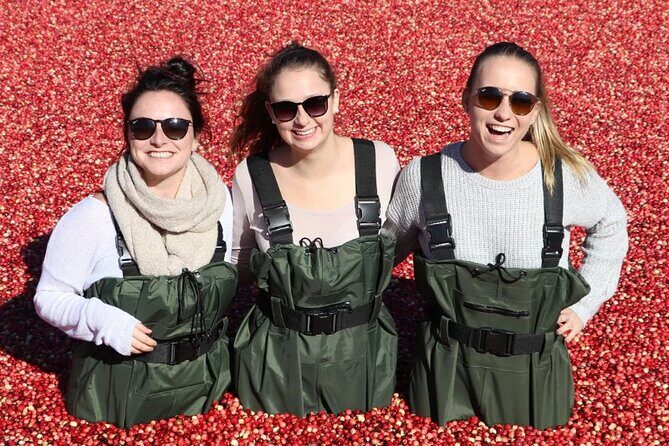 Cranberry Plunge and Hardy Lake Hike Adventure - Exploring the Cranberry Plunge and Hardy Lake Hike Adventure