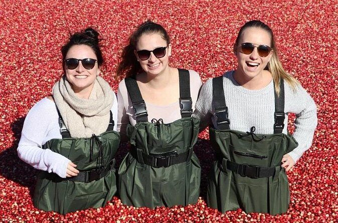 Cranberry Plunge and Hardy Lake Hike Adventure - Practical Tips for the Day