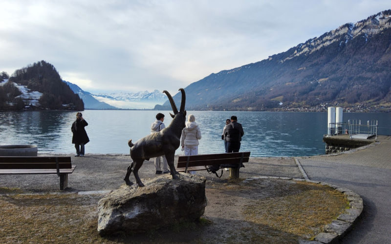 Crash Landing on You Filming Locations in the Swiss Alps Tour - What the guest account tells you
