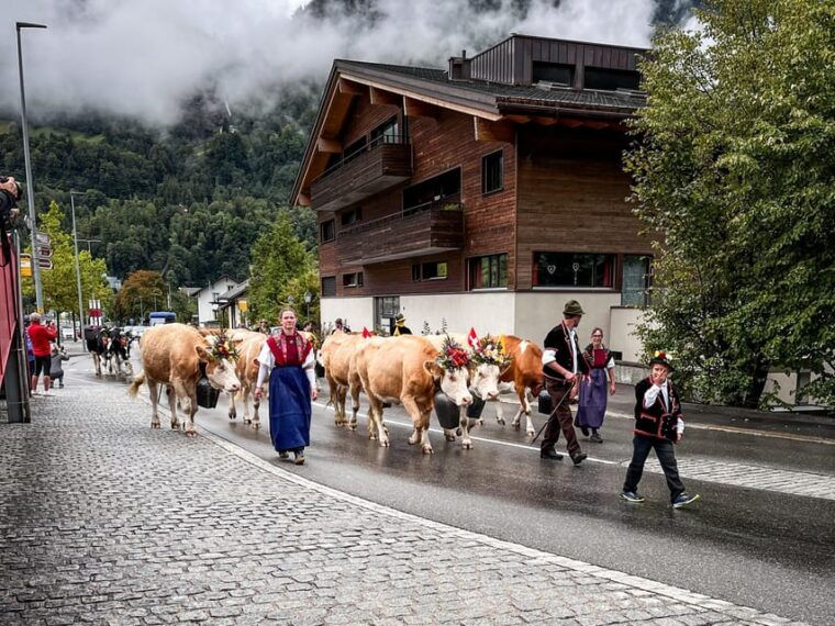 Crash Landing on You: Switzerland Day Tour From Zurich - Grindelwald: Breathtaking Vistas and Adventure