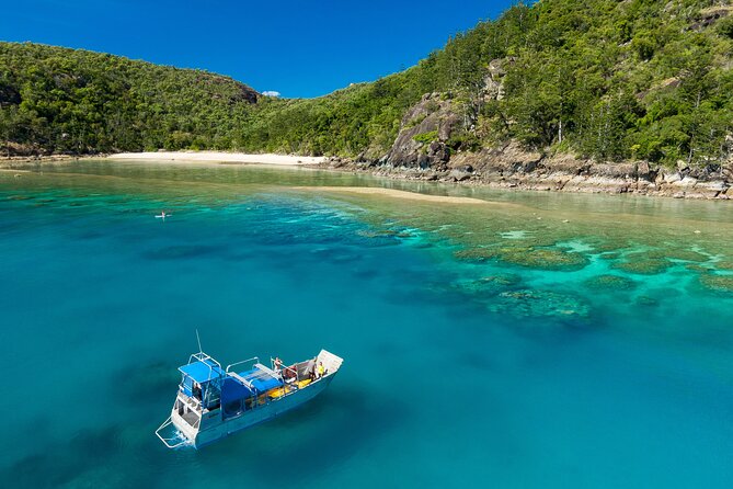 Crayfish Beach Hook Island Camping Transfer - Accessibility and Recommendations