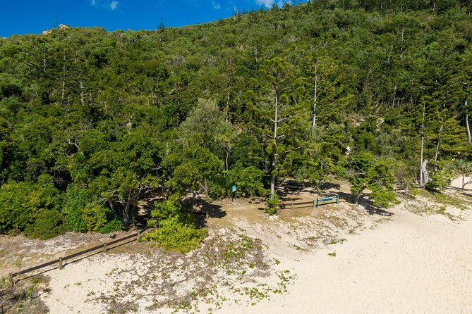 Crayfish Beach Hook Island Camping Transfer - Background