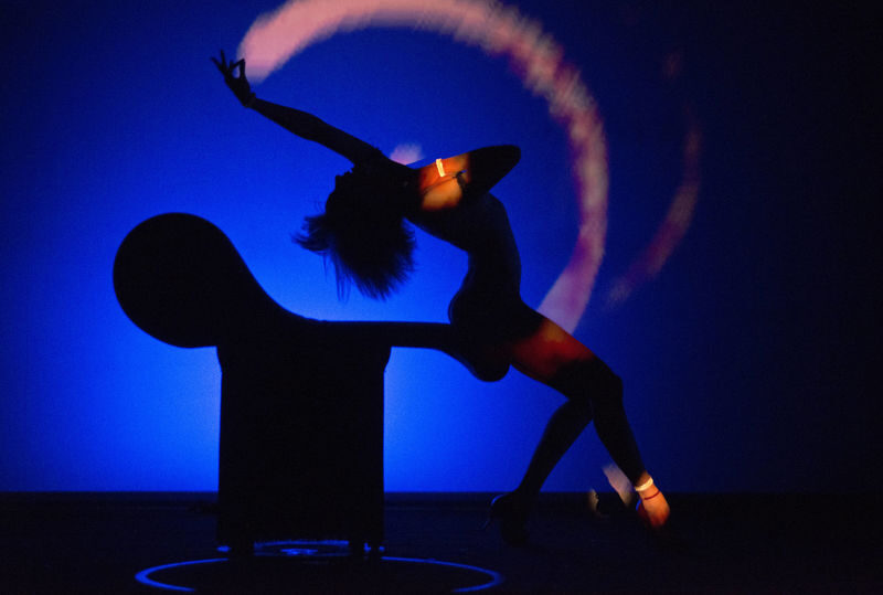 Crazy Horse Show Paris - The quick take