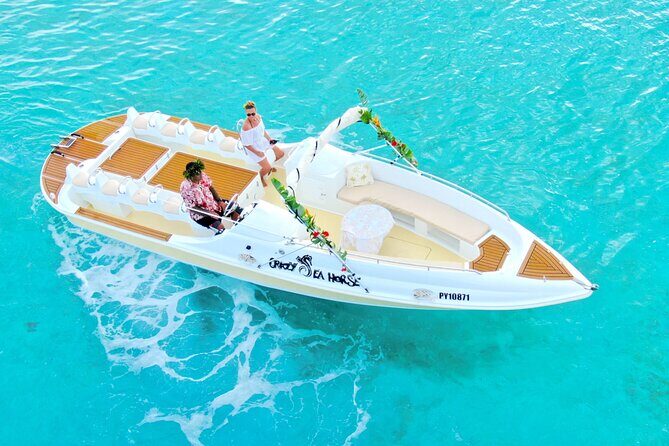 Crazyseahorseborabora Comfortable boat , sensational snorkeling . - An Authentic Bora Bora Marine Adventure
