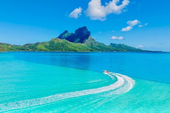 Crazyseahorseborabora Comfortable boat , sensational snorkeling . - The Sum Up