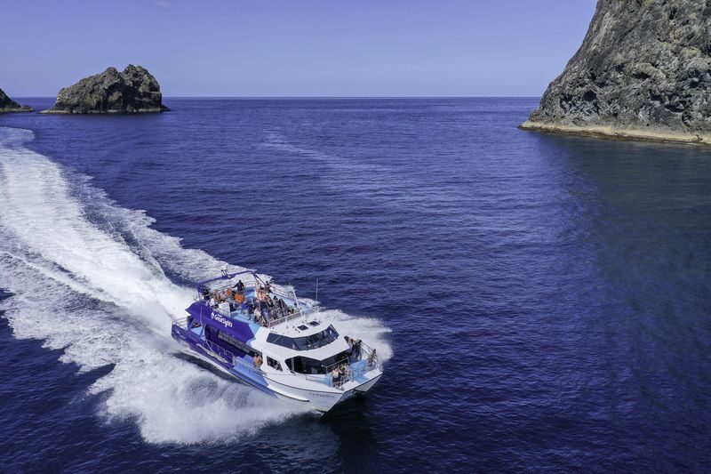 Cream Trip Super Cruise and Otehei Bay Tour from Bay of Islands - At a glance