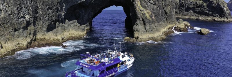 Cream Trip Super Cruise and Otehei Bay Tour from Bay of Islands - Boom-netting: a lively extra, when available