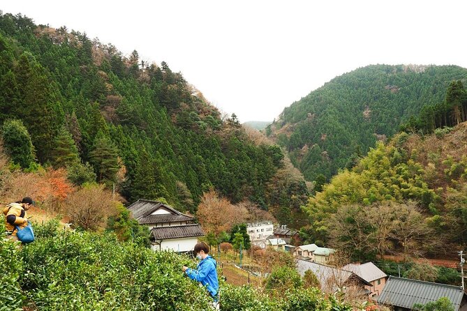 Create Autumn Tea in Wild West Tokyo - Meeting and Pickup