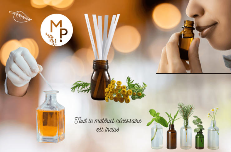 Create Your Organic Perfume Workshop - Experience Highlights