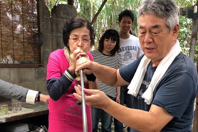 Create Your Own Glass Cup and See Seto's Lucky Cats in Japan - Who Would Love This Tour?